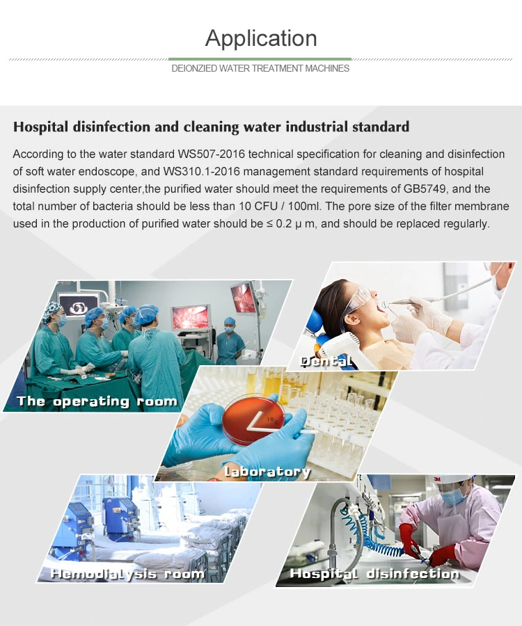 500L/H EDI Electrical Deionized Water Treatment System for Hospital Pharmaceutical Water